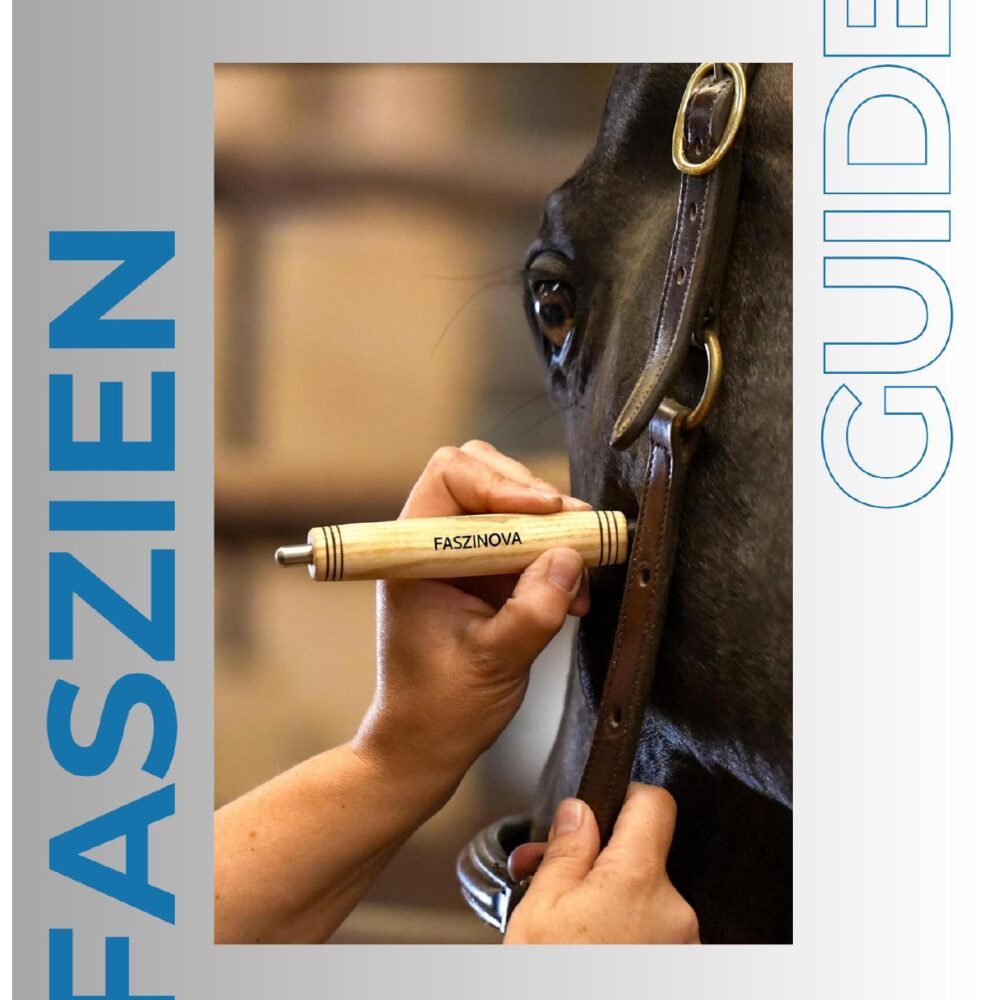 FASZINOVA Faszien Guide PDF